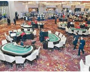 ayx大厅手机版登录入口免费版